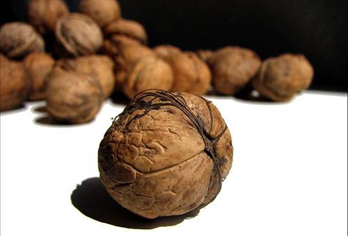 Riešutas