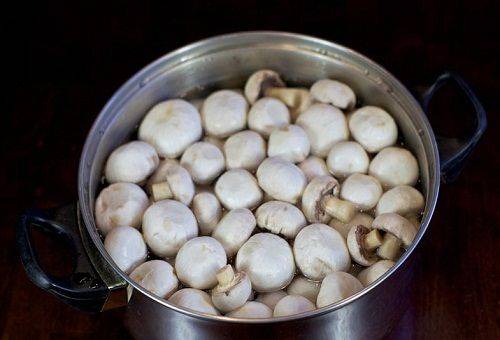champignons op water