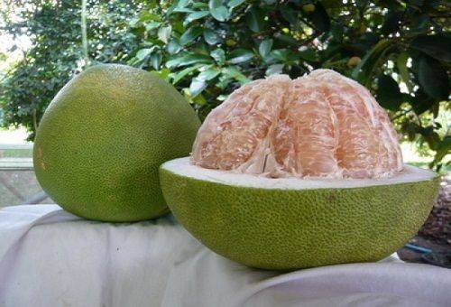 egzotiškų vaisių pomelo