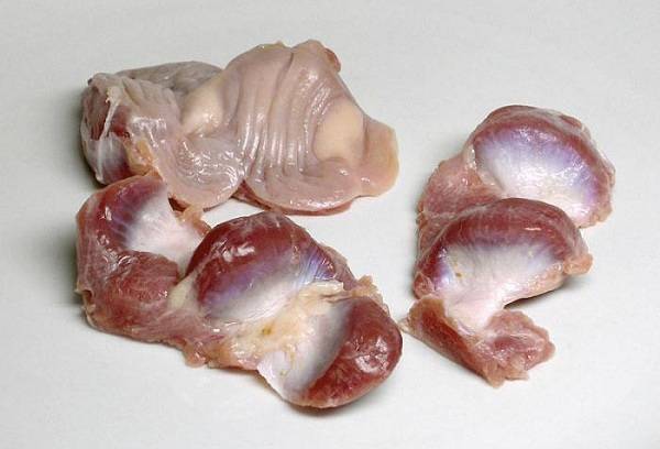gésiers de poulet nettoyés
