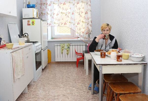 Mikrobangų krosnelė šaldytuve