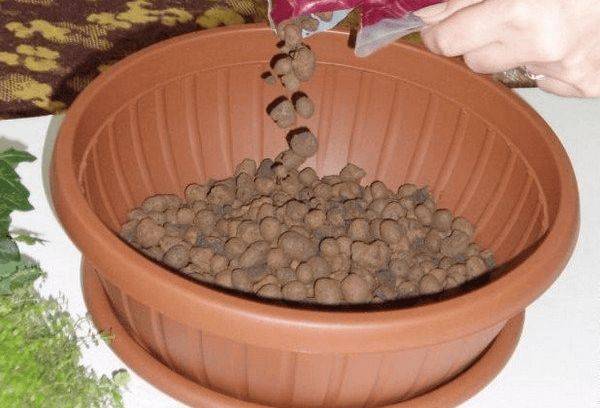 Gruntavimas