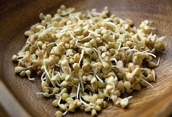 Daiginti grikiai