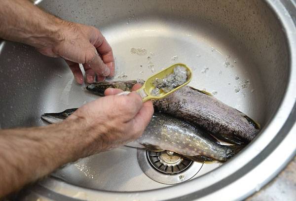 peilis su dantimis ant ašmenų, todėl lengviau atskirti žvynus