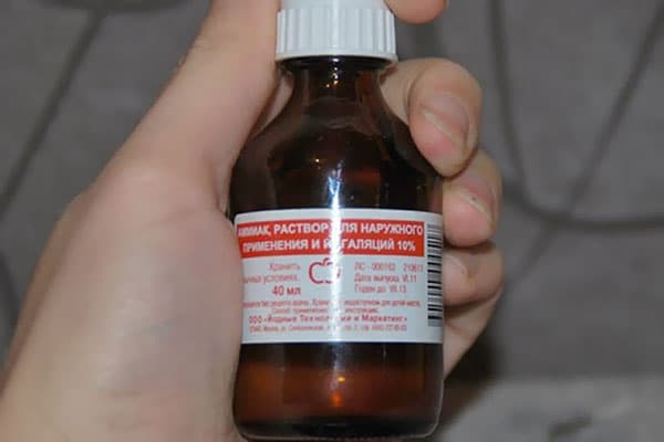 Amoniakas