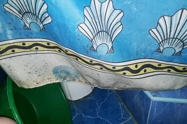 Pelėsis ant vonios užuolaidos