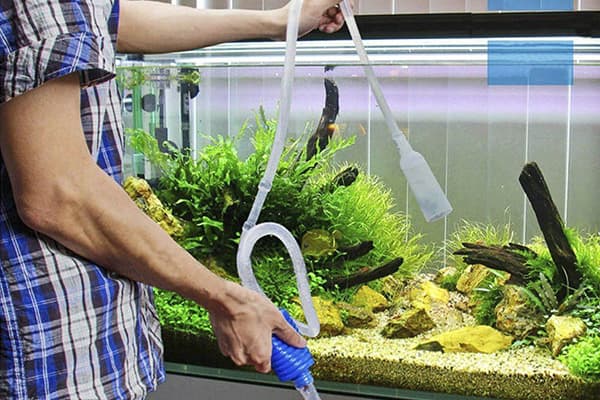 Mechaninis akvariumo valymas