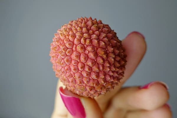 Lychee-fruit