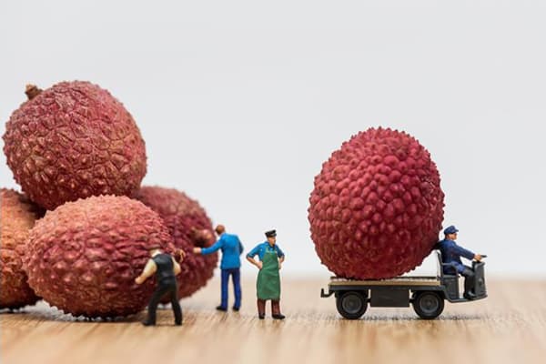 Compositie met lycheevruchten