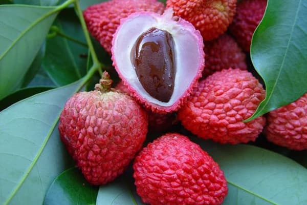 Lychee-zaad