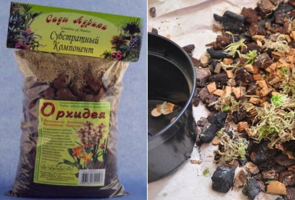Dirva orchidėjoms