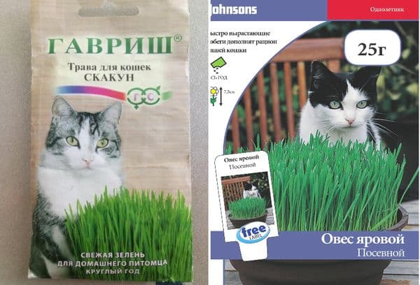 Parduotuvėje pirkta žolė katėms