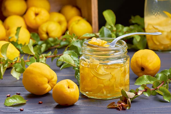Coings et confiture de coings