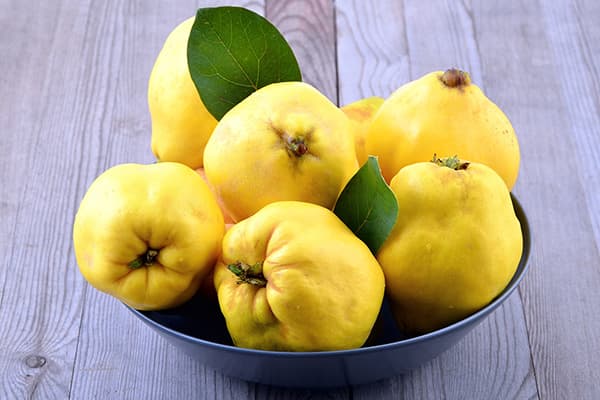 Fruits de coing