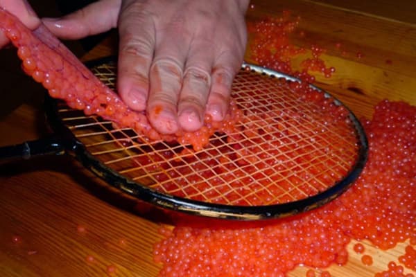 Ikrų atskyrimas nuo plėvelės naudojant badmintono raketę