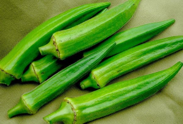 Okra vaisiai