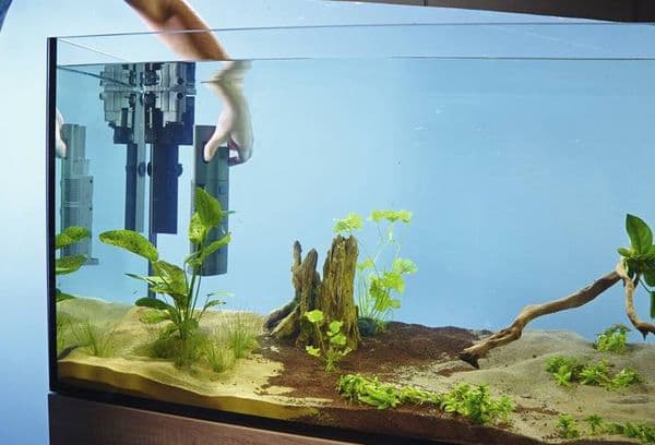 akvariumas