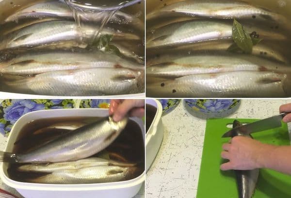 Žuvis marinate