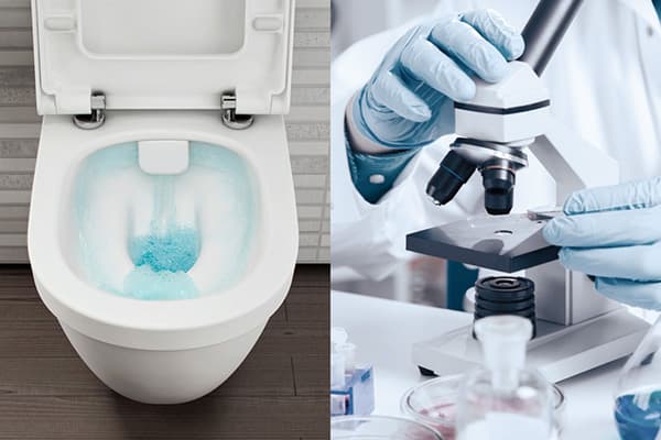 Mikrobiologinės aplinkos tualete tyrimas