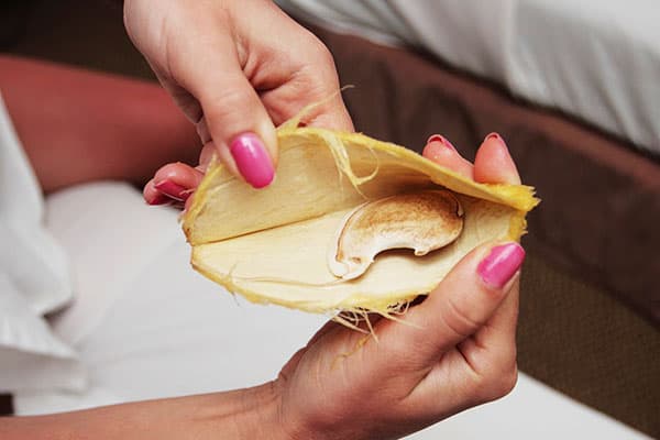 Sėkla mango duobėje