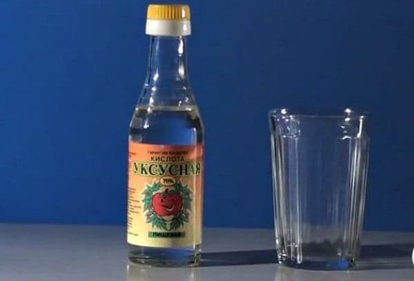 Acto rūgštis
