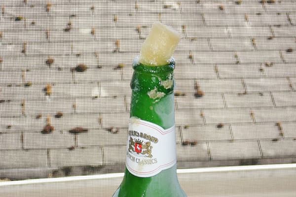 Šaldytas alus