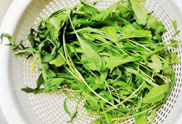 secar verduras