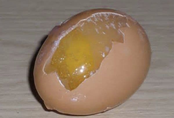 Šaldytas kiaušinis