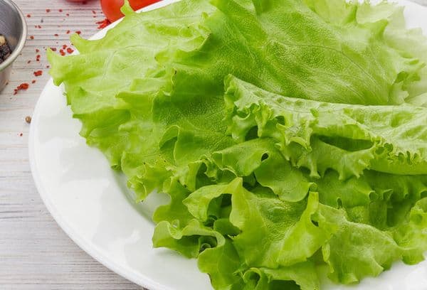 Feuilles de salade fraîches