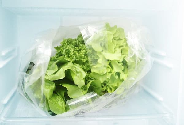 Feuilles de salade au congélateur