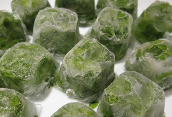 glaçons aux herbes