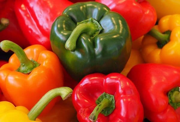 Šviežia paprika