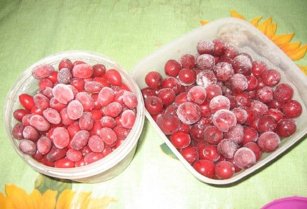 Šaldyti pomidorai