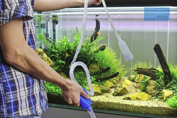 Akvariumo valymas prieš keičiant vandenį