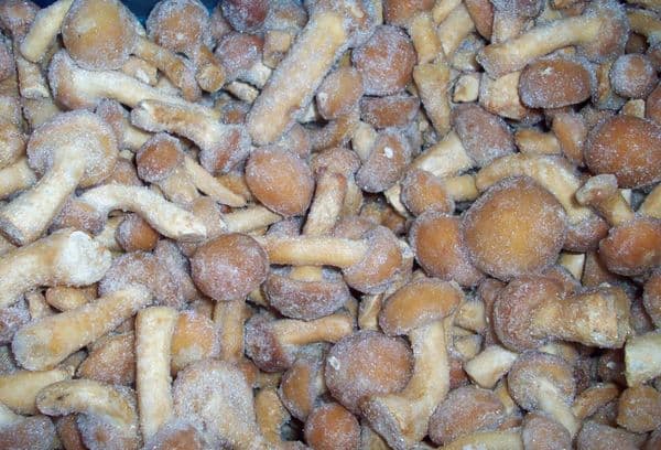 Šaldyti kiaulienos grybai