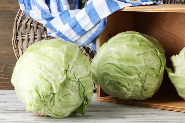 Baltasis kopūstas