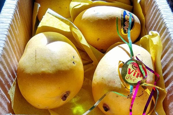 Mango vaisiai dėžutėje