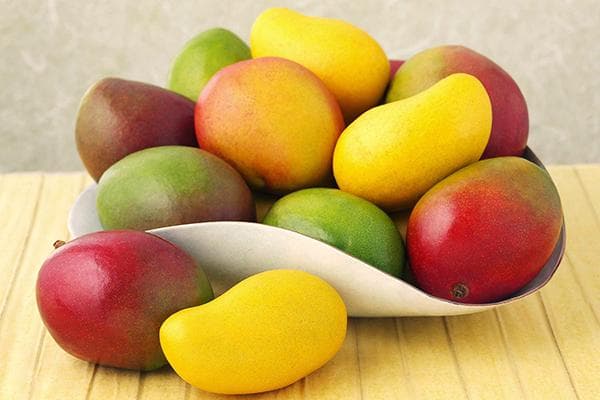 Prinokę mango vaisiai