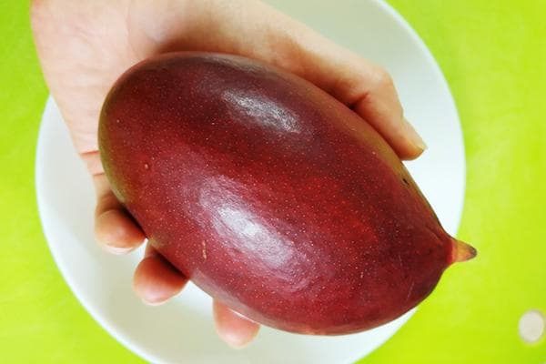 Prinokę mango vaisiai