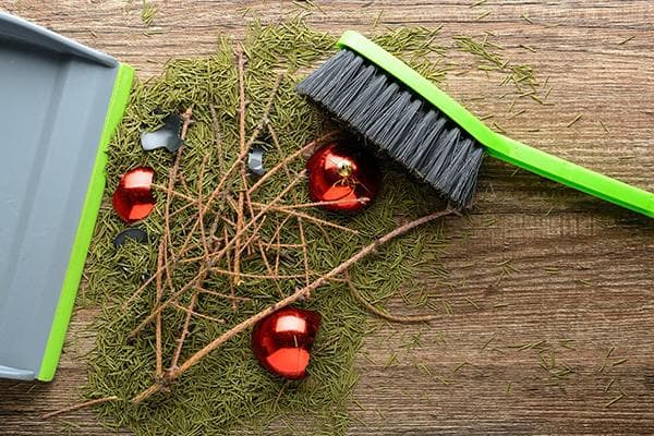 Pušų spyglių ir nulūžusių eglutės papuošimų valymas