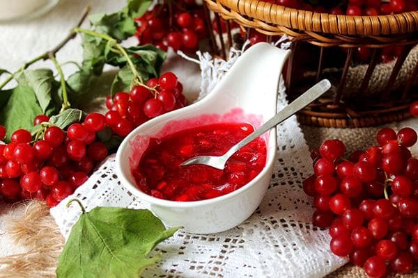 Viburnum uogų uogienė