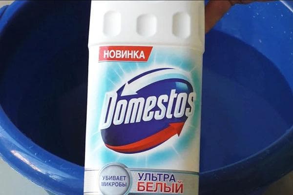 Domestos ir mėlynas baseinas