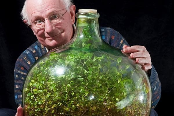 Vyras su uždaru florariumu 