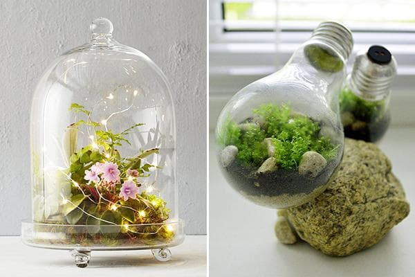 Uždaryti florariumai