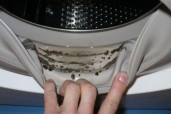 Pelėsis ant skalbimo mašinos guminės juostos