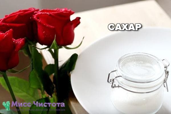 Cukrus rožėms vazoje