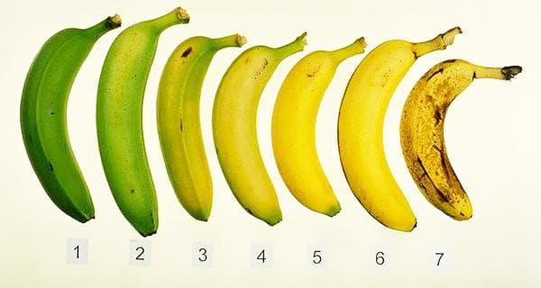 Bananų brandumo lygiai