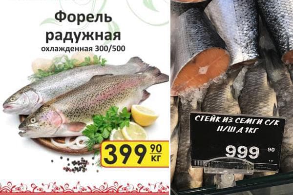 Upėtakio ir lašišos kaina