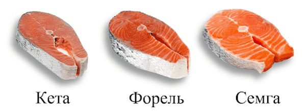 Chum lašiša, upėtakis ir lašišos kepsniai