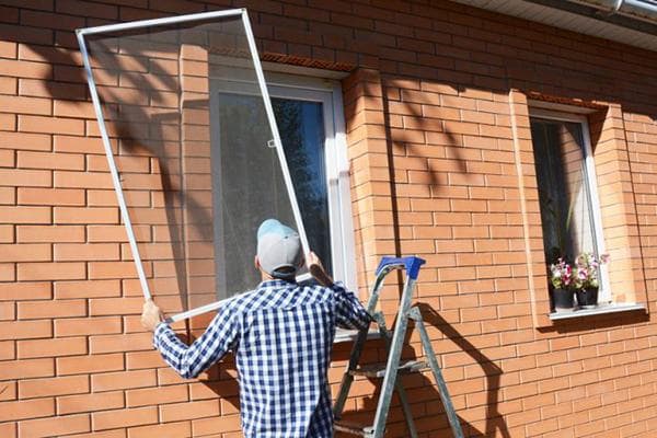 Vyras nuo privataus namo lango nuima tinklelį nuo uodų